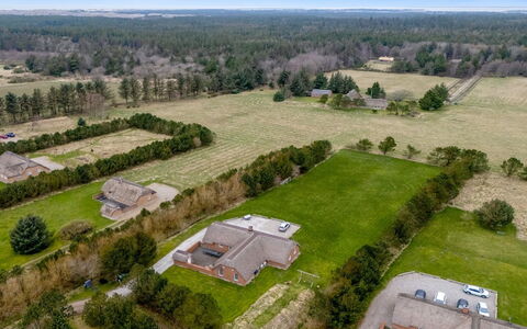 Aane - 1.8Km from the Sea: Comunita 'Impianto, Luce Del Sole, Pianta Erbacea, Giardino, Piantagione, Agricoltura, Azienda Agricola