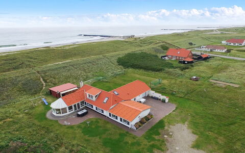 Pauli - 75M from the Sea