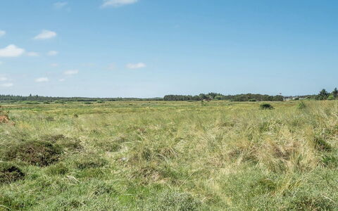 Tayanita - 750M from the Sea: Tetto, Lotto, Villetta, Casa, Area Rurale, Capannone, Raccordo, Edifici Giardino, Log Cabin, Capanna
