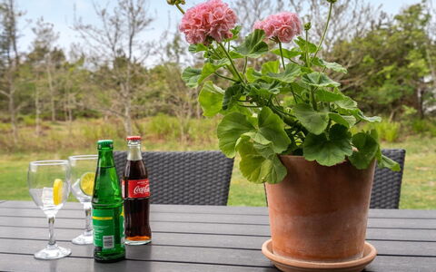 Birette - 1.5Km from the Sea: Vaso Di Fiori, Giardino, Pianta Della Casa, Erba, Vaso