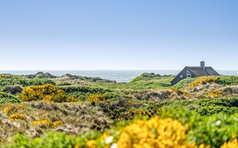 Ehawee - 350M from the Sea: Tetto, Lotto, Villetta, Casa, Area Rurale, Capannone, Raccordo, Edifici Giardino, Log Cabin, Capanna