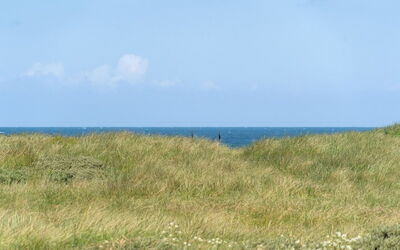 Dila - 150M from the Sea