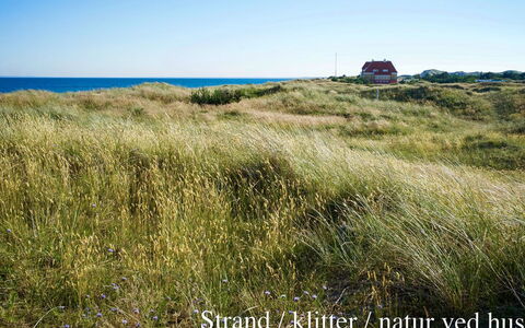 Elle - 50M from the Sea: Tetto, Casa, Lotto, Casa, Villetta, Estate, Edifici Giardino, Shade, Log Cabin, Landscaping