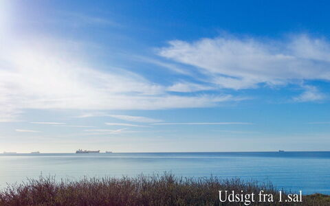 Ingwald - 50M from the Sea: Zona Residenziale, Tetto, Sobborgo, Driveway, Estate, Camino