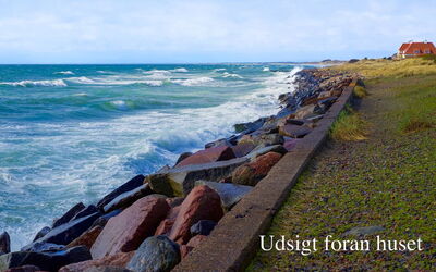 Ingwald - 50M from the Sea