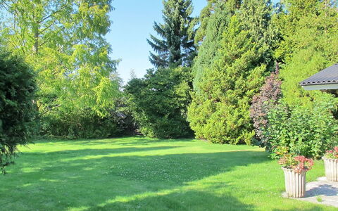 Claudette - 1Km from the Sea: Albero, Verde, Erba, Foglia, Arbusto, Giardino, Prato, Lotto, Groundcover