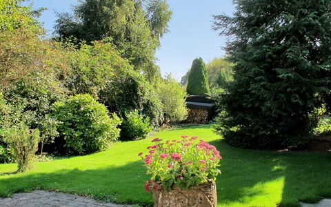 Claudette - 1Km from the Sea: Verde, Foglia, Erba, Giardino, Vegetazione, Arbusto, Paesaggio, Comunita 'Impianto, Prato