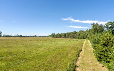 Taralyn - 1.3Km from the Sea: Zona Residenziale, Casa, Estate, Shade, Calcestruzzo, Driveway, Landscaping, Villa, Recinzione, Portico