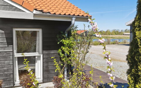 Florentin - 1Km from the Sea: Tetto, Lotto, Villetta, Casa, Area Rurale, Capannone, Raccordo, Edifici Giardino, Log Cabin, Capanna