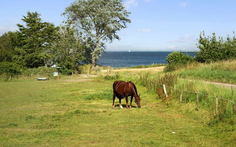Ady - 150M from the Sea: Tetto, Casa, Lotto, Casa, Villetta, Estate, Edifici Giardino, Shade, Log Cabin, Landscaping