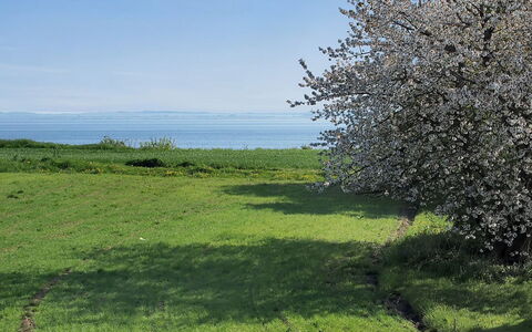 Ady - 150M from the Sea: Tetto, Casa, Lotto, Casa, Villetta, Estate, Edifici Giardino, Shade, Log Cabin, Landscaping