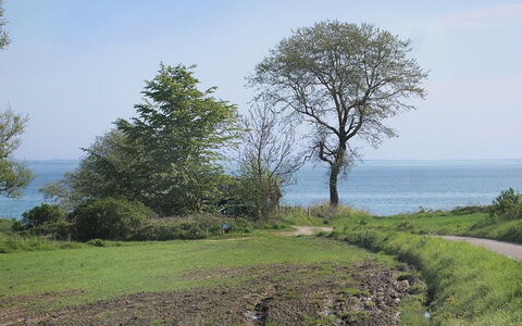 Ady - 150M from the Sea: Tetto, Casa, Lotto, Casa, Villetta, Estate, Edifici Giardino, Shade, Log Cabin, Landscaping