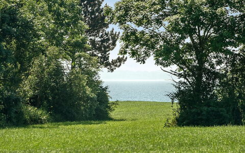 Ilja - 400M from the Sea