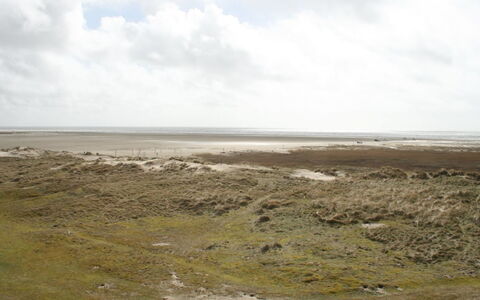 Anette - 50M from the Sea: Arbusto, Urban Design, Groundcover, Brick, Appartamento, Estate, Muratura, Balcone, Landscaping