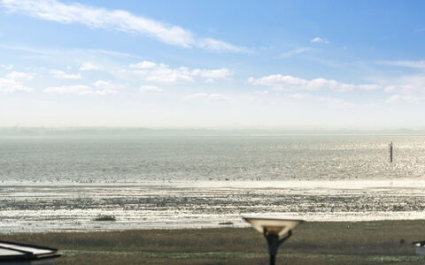 Joonas - 100M from the Sea