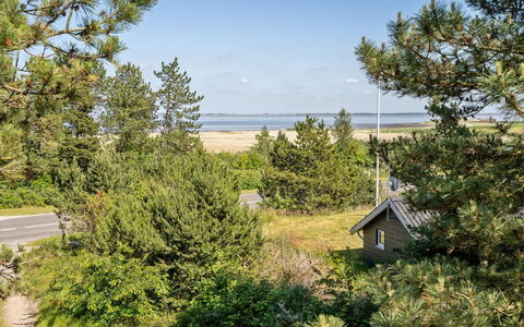 Solvey - 2Km from the Sea: Cielo, Vegetazione, Arbusto, Comunita 'Impianto, Shrubland, Sempreverde, Larice, Pine Famiglia