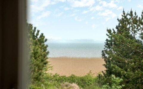 Solvey - 2Km from the Sea: Mare, Oceano, Mattina, Costa, Spiaggia, Riva, Tropici, Sempreverde