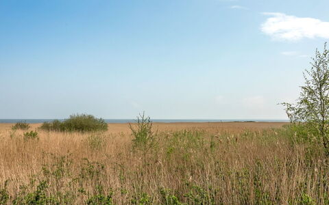 Solvey - 2Km from the Sea: Cielo, Blu, Giorno, Ambiente Naturale, Erba, Pascolo, Vegetazione, Ecoregione, Orizzonte, Plain