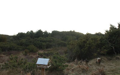 Annita - 300M from the Sea