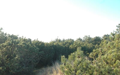 Jon - 400M from the Sea