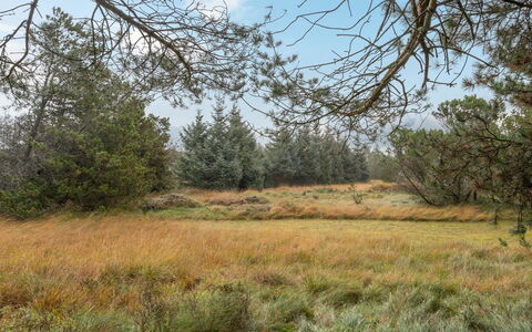 Aulikki - 900M from the Sea: Erba, Casa, Tetto, Casa, Villetta, Arbusto, Lotto, Area Rurale, Agriturismo, Groundcover