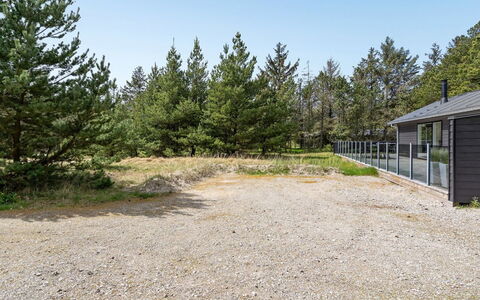 Arnetta - 1.5Km from the Sea: Comunita 'Impianto, Luce Del Sole, Pianta Erbacea, Giardino, Piantagione, Agricoltura, Azienda Agricola