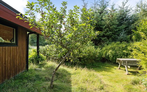 Sune - 500M from the Sea: 