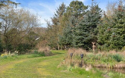 Sune - 500M from the Sea: 