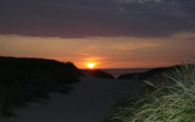 Heming - 100M from the Sea