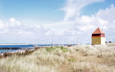 Heming - 100M from the Sea