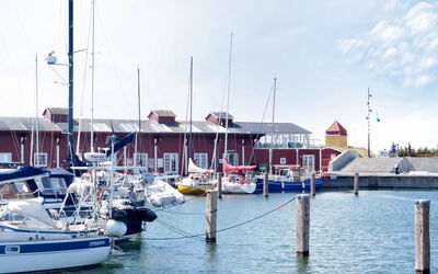 Heming - 100M from the Sea