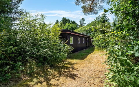 Fot - 7Km from the Sea: Vegetazione, Arbusto, Paesaggio, Comunita 'Impianto, Lotto, Area Rurale, Giardino, Villetta, Edifici Giardino
