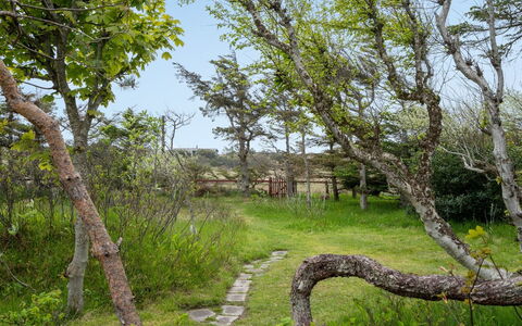 Helny - 300M from the Sea: Ramo, Foglia, Albero, Erba, Natura, Ambiente Naturale, Vegetazione, Paesaggio Naturale, Pascolo