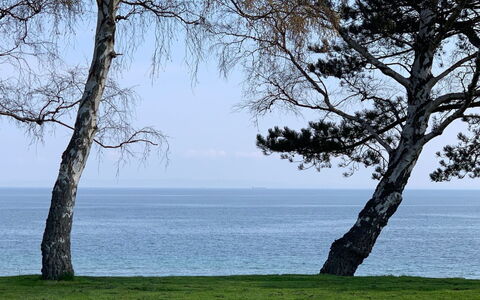 Vanta - 10M from the Sea: Tetto, Lotto, Villetta, Casa, Area Rurale, Capannone, Raccordo, Edifici Giardino, Log Cabin, Capanna