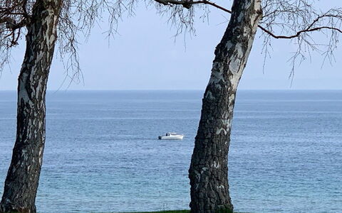 Vanta - 10M from the Sea: Tetto, Lotto, Villetta, Casa, Area Rurale, Capannone, Raccordo, Edifici Giardino, Log Cabin, Capanna