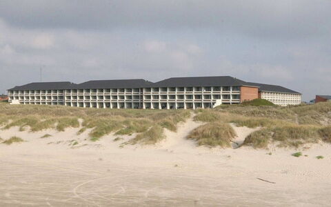 Britt - 100M from the Sea: Tetto, Casa, Casa, Villetta, Porta, Raccordo, Deck, Portico, Plank, Latifoglie