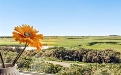 Gerharde - 2.3Km from the Sea: Mare, Oceano, Costa, Prateria, Wildflower