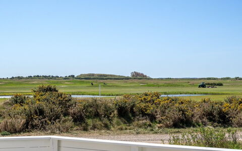 Gerharde - 2.3Km from the Sea: Cielo, Verde, Erba, Pascolo, Plain, Ecoregione, Lotto, Steppa, Prateria