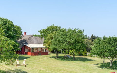 Edelgard - 4.5Km from the Sea: Albero, Erba, Plain, Paesaggio, Pascolo, Area Rurale, Lotto, Prato, Villetta