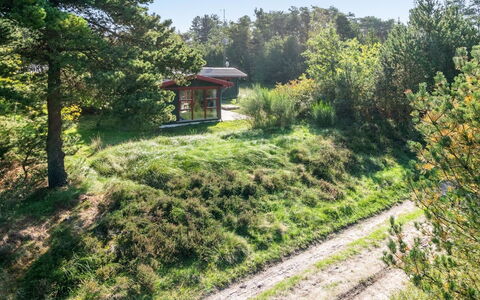 Eliane - 4Km from the Sea: Erba, Albero, Vegetazione, Arbusto, Paesaggio Naturale, Comunita 'Impianto, Area Rurale, Lotto
