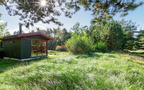 Eliane - 4Km from the Sea: Erba, Arbusto, Pascolo, Lotto, Giardino, Area Rurale, Comunita 'Impianto, Prato, Villetta