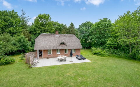 Alkil - 1.7Km from the Sea: Tetto, Lotto, Villetta, Casa, Area Rurale, Capannone, Raccordo, Edifici Giardino, Log Cabin, Capanna