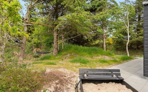 Antonina - 800M from the Sea: Legna, Vegetazione, Arbusto, Comunita 'Impianto, Lotto, Groundcover, Foresta, Giardino, Trail