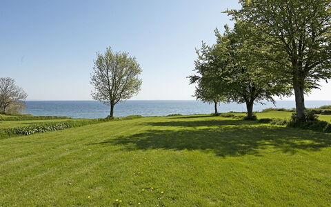 Helena - 250M from the Sea: Blu, Verde, Erba, Pascolo, Paesaggio Naturale, Orizzonte, Ecoregione, Paesaggio, Plain, Lotto