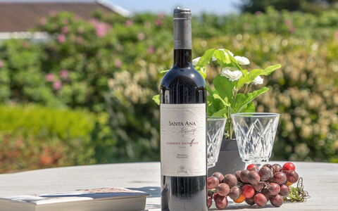 Jarmericus - 300M from the Sea: Bottiglia, Bottiglia Di Vino, Bottiglia Di Vetro, Vino, Vino Rosso, Barware
