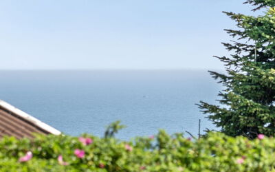 Jarmericus - 300M from the Sea