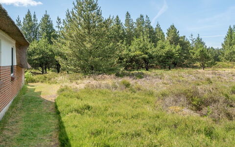 Hakun - 4Km from the Sea: Albero, Erba, Vegetazione, Arbusto, Pascolo, Lotto, Comunita 'Impianto, Plain, Groundcover