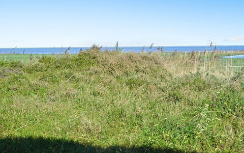 Asfrid - 3.5Km from the Sea: Blu, Cielo, Verde, Erba, Pascolo, Vegetazione, Estate, Ecoregione, Comunita 'Impianto, Lotto