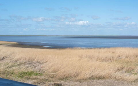 Deljan - 3.5Km from the Sea: Arbusto, Urban Design, Groundcover, Brick, Appartamento, Estate, Muratura, Balcone, Landscaping