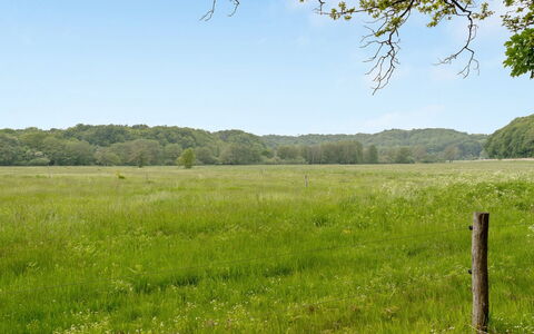 Rohan - 500M from the Sea: Verde, Erba, Pascolo, Albero, Ambiente Naturale, Paesaggio Naturale, Vegetazione, Pascolo, Plain, Campo